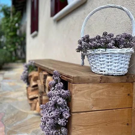 Holiday home Casa L'arte Della Vigna