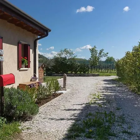 Casa L'arte Della Vigna