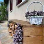 Σπίτι διακοπών Casa L'arte Della Vigna